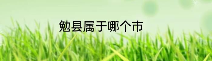 勉县属于哪个市