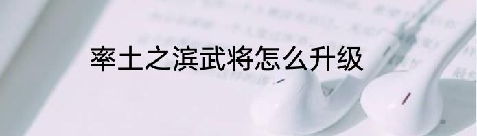 率土之滨武将怎么升级