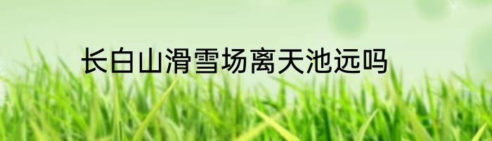 长白山滑雪场离天池远吗