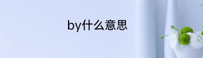 by什么意思