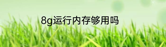8g运行内存够用吗