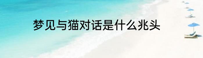 梦见与猫对话是什么兆头