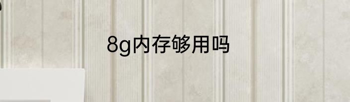8g内存够用吗