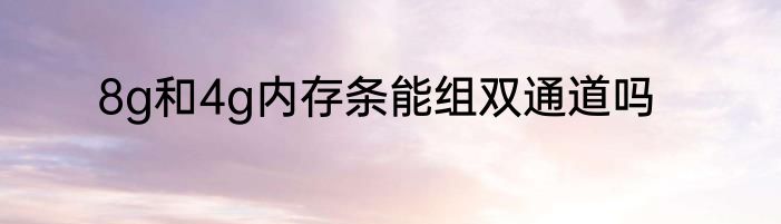 8g和4g内存条能组双通道吗
