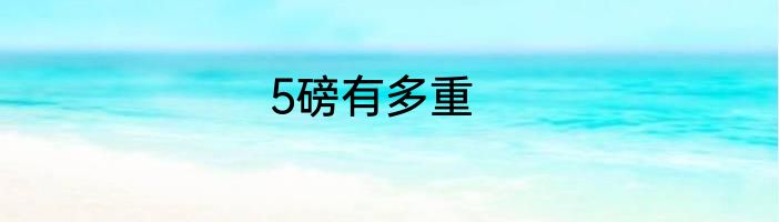 5磅有多重