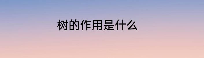 树的作用是什么