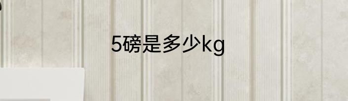5磅是多少kg