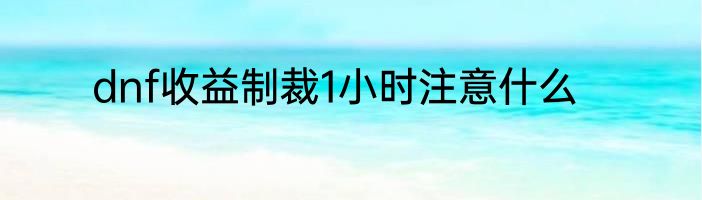 dnf收益制裁1小时注意什么