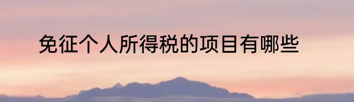 免征个人所得税的项目有哪些