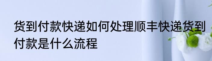 货到付款快递如何处理顺丰快递货到付款是什么流程