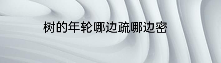树的年轮哪边疏哪边密