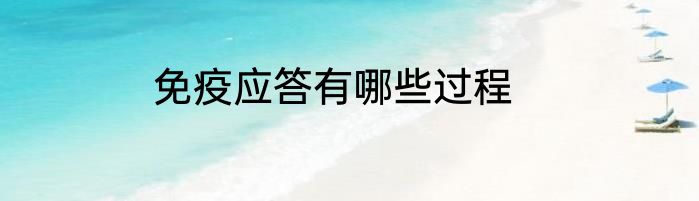 免疫应答有哪些过程