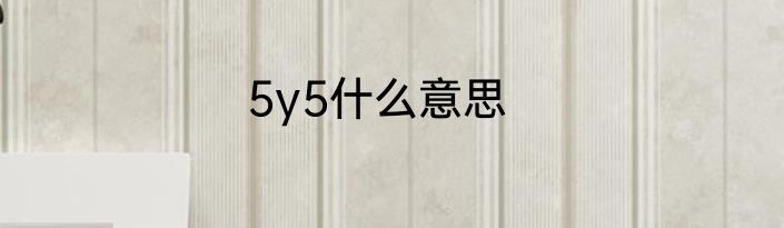 5y5什么意思