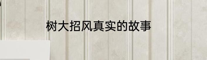 树大招风真实的故事