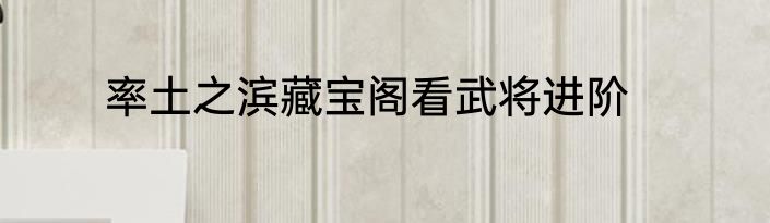 率土之滨藏宝阁看武将进阶