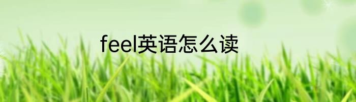 feel英语怎么读