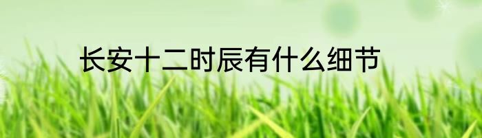 长安十二时辰有什么细节