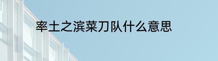 率土之滨菜刀队什么意思