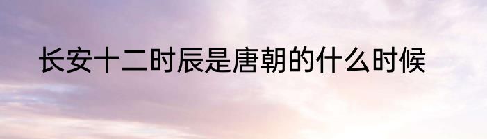 长安十二时辰是唐朝的什么时候