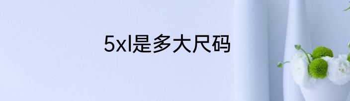 5xl是多大尺码