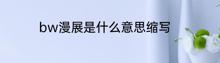 bw漫展是什么意思缩写