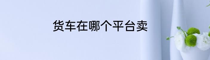 货车在哪个平台卖