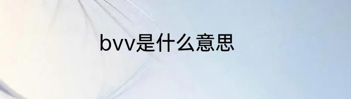 bvv是什么意思