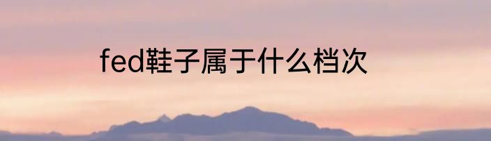 fed鞋子属于什么档次