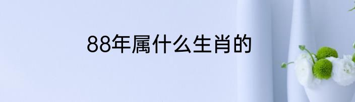 88年属什么生肖的