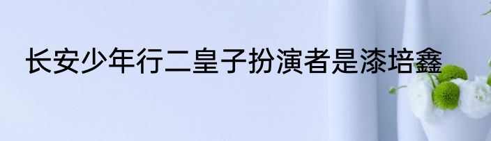 长安少年行二皇子扮演者是漆培鑫