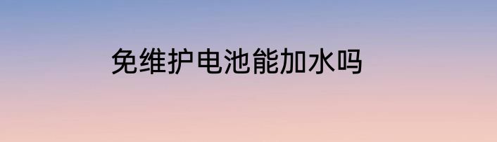 免维护电池能加水吗