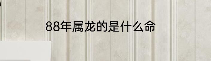 88年属龙的是什么命