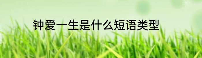 钟爱一生是什么短语类型