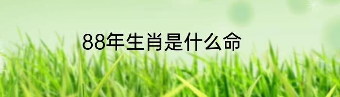 88年生肖是什么命