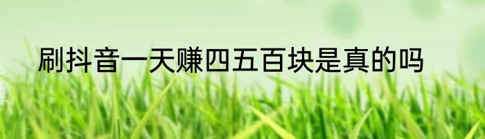 刷抖音一天赚四五百块是真的吗
