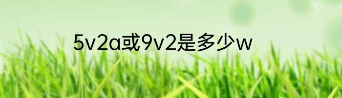 5v2a或9v2是多少w