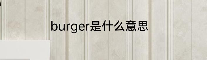 burger是什么意思