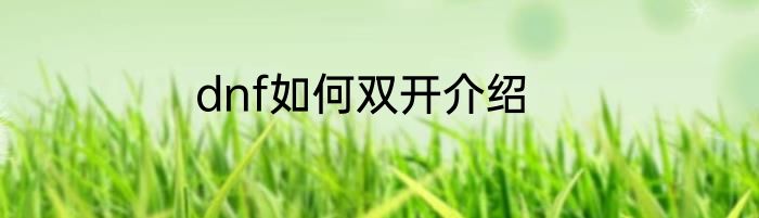 dnf如何双开介绍