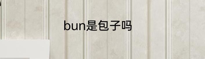 bun是包子吗