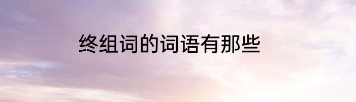终组词的词语有那些