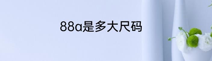 88a是多大尺码