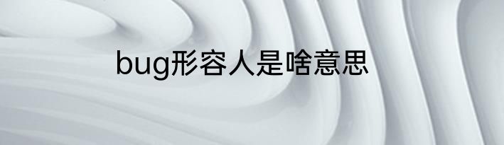 bug形容人是啥意思