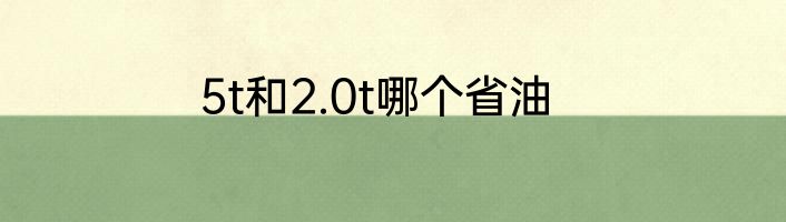 5t和2.0t哪个省油