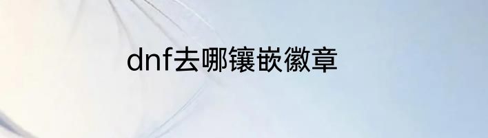 dnf去哪镶嵌徽章