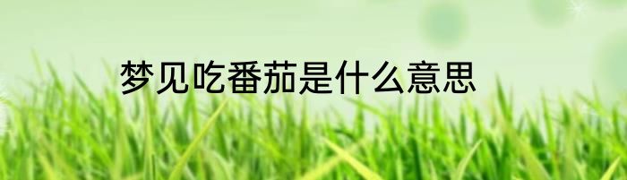 梦见吃番茄是什么意思