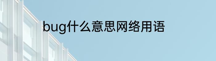 bug什么意思网络用语
