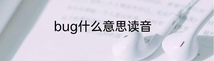 bug什么意思读音