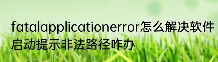 fatalapplicationerror怎么解决软件启动提示非法路径咋办