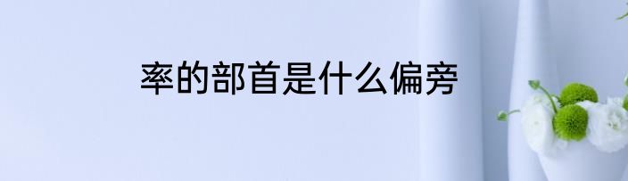 率的部首是什么偏旁