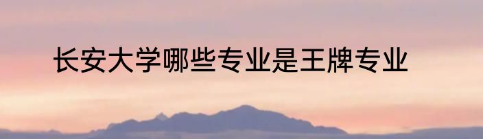 长安大学哪些专业是王牌专业